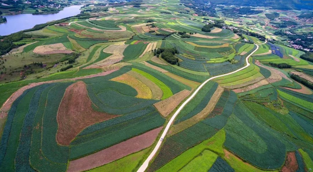 巧家鄉村文化旅遊節驢友樂土老饕天堂康養馬樹明天見