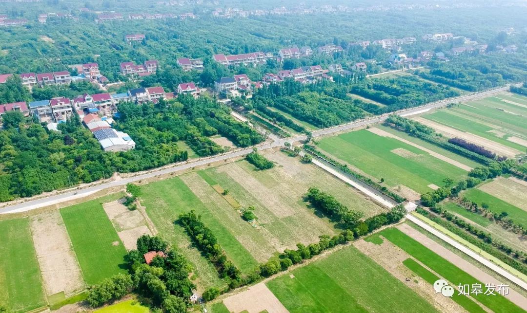 厉害了如皋这个村家家户户不种粮3000亩地不农忙土里能长钱