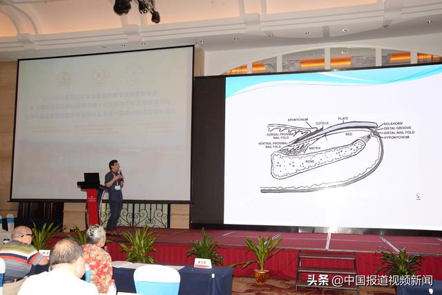 2019年中国医药教育协会皮肤病专业委员会学术会议暨粤