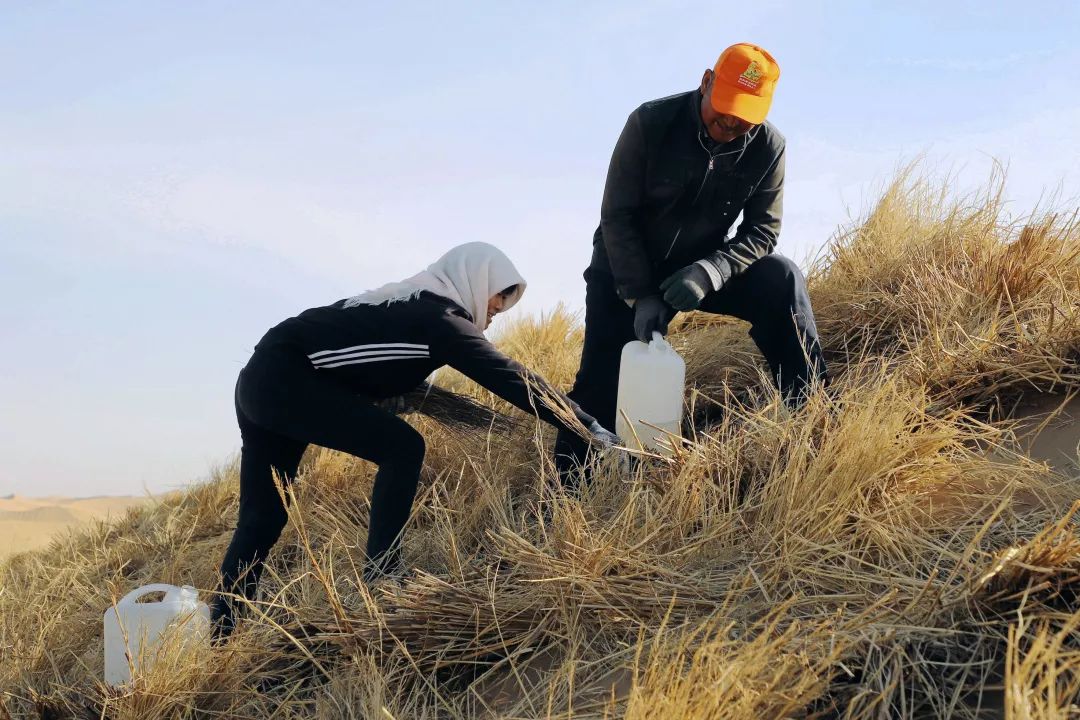 打捞海底垃圾丨邓 飞一等奖(1件)"行动中的志愿者"类摄影大赛获奖作品