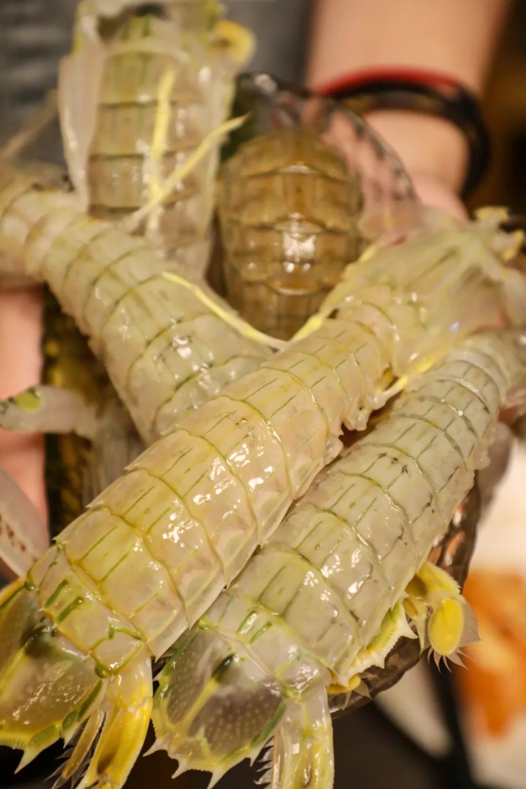 限时抢购海鼎荟海鲜姿造自助盛宴300菜品帝王蟹龙虾鳄鱼肉活海参全球