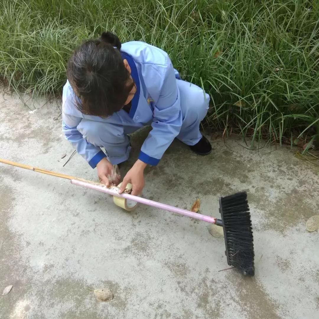 9s管理,效果杠杠滴!