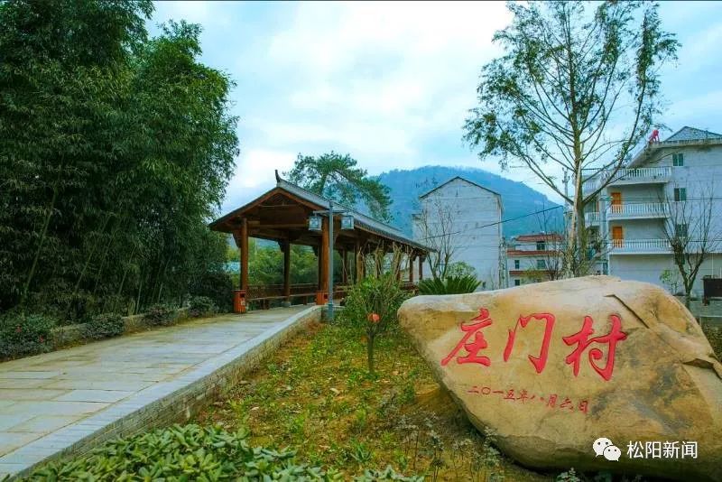 喜报!松阳这3个村上榜浙江省首批农村引领型社区名单