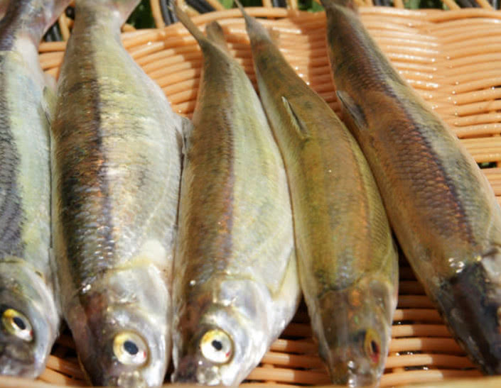 中国最好吃的5种鱼吃过2种的是吃货全吃过的是土豪
