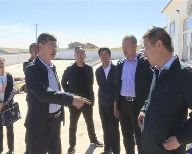 化德县委书记王兵,县委副书记 政府县长崔雨来调研指导脱贫攻坚工作