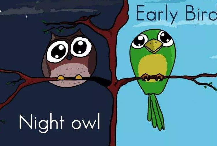 养成黑白颠倒的习惯,对身体的危害有多大你知道吗?