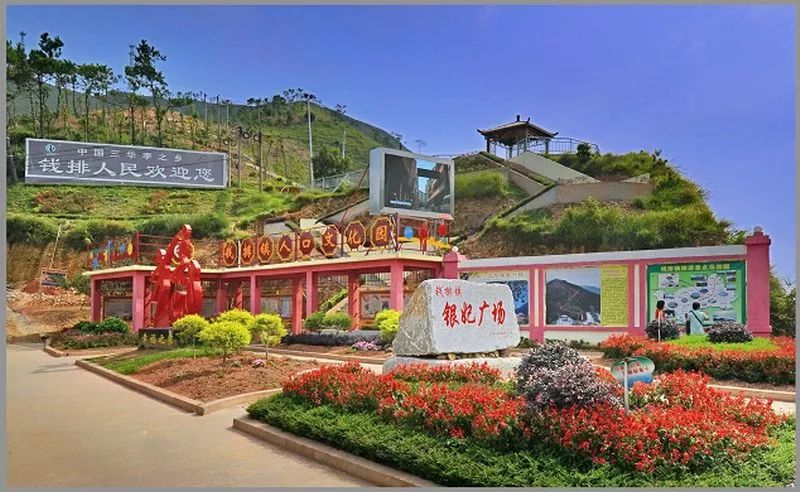 爽脆听到这三个字唾液就没忍住分泌旺盛果大核小肉厚又到了吃前排