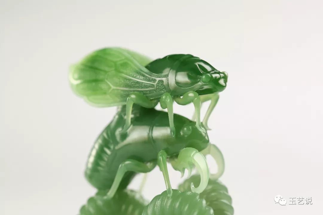这只虫在玉雕圈流行数千年,至今仍是经典!