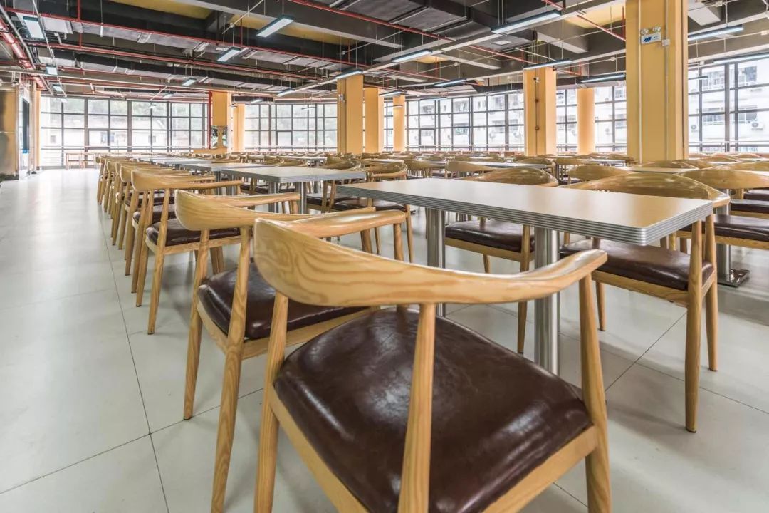 来了中南大学饲养报告