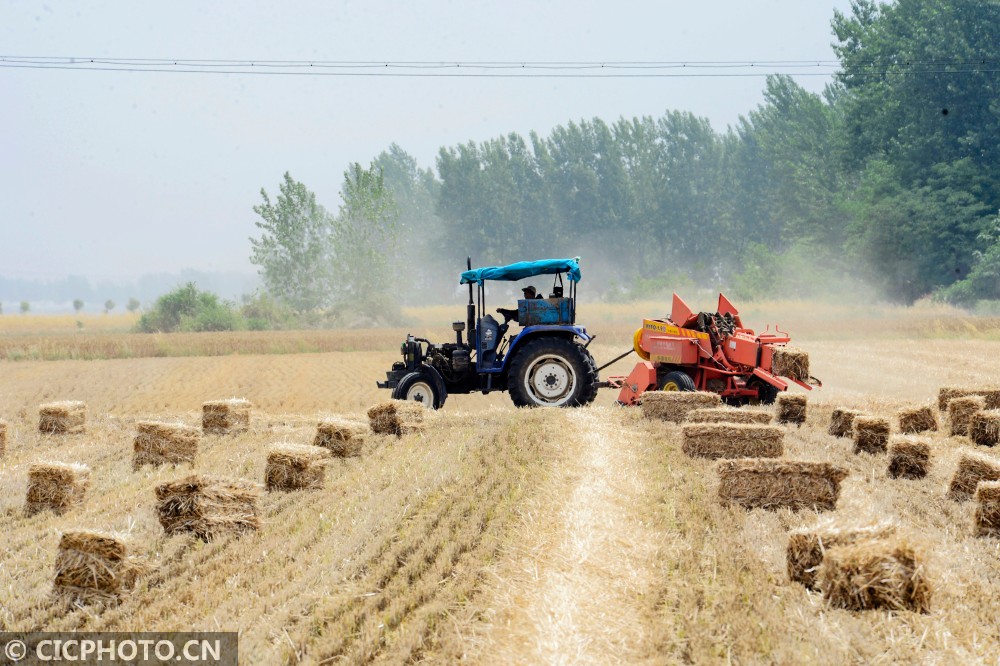 河南汝南:秸秆打捆忙