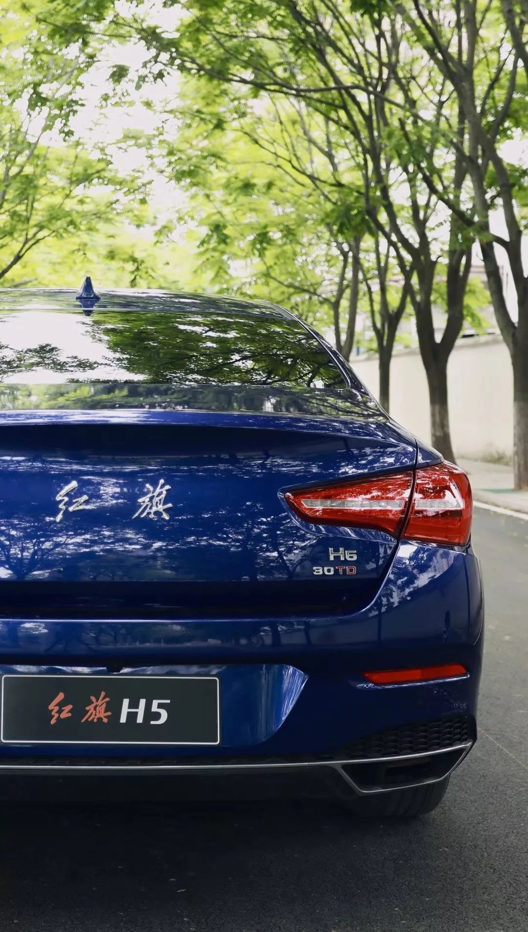 1080_1904竖版 竖屏