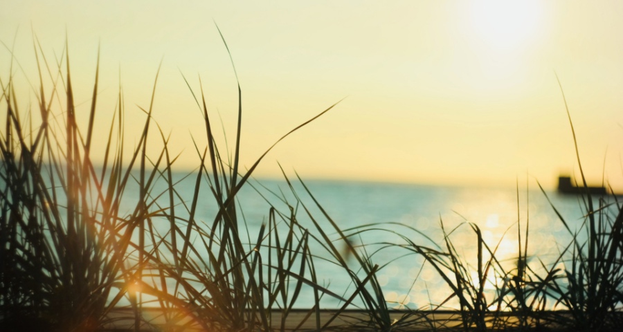 家电多品牌化运营向二三线企业蔓延,步海尔美的海信格力等后尘-家电圈官网