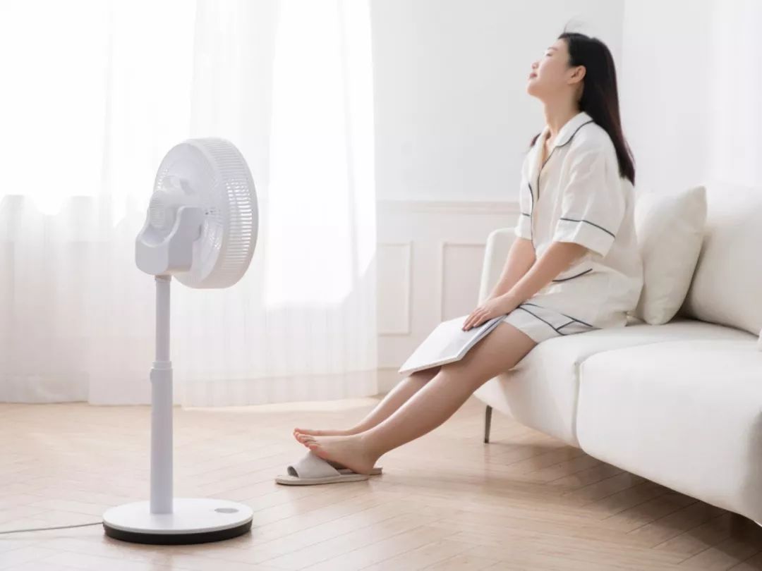 它能吹出"森林里的柔柔轻风",自在又舒爽!_风扇