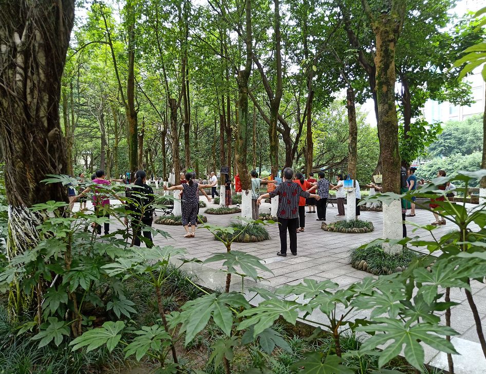 全城禁噪广安的广场舞嬢嬢们都去哪啦