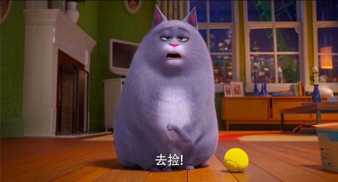 现在《爱宠大机密2》就给你这个在电影院高清!大屏!