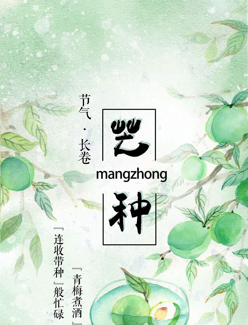 节气长卷丨芒种连收带种般忙碌青梅煮酒般悠闲