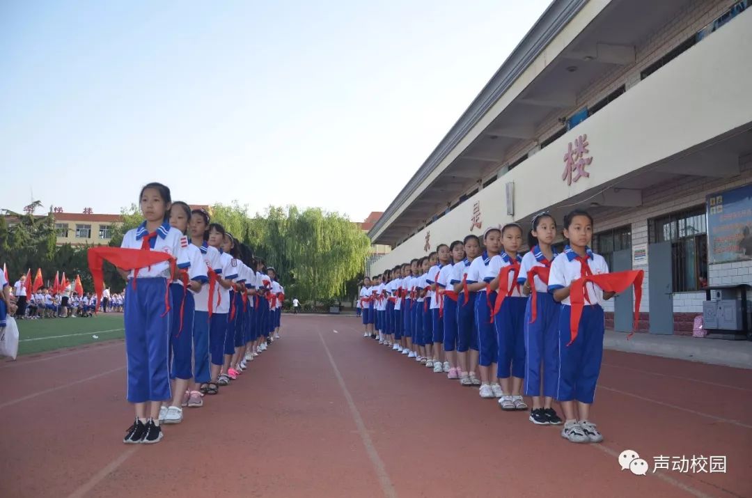 赵县石塔实验学校图片