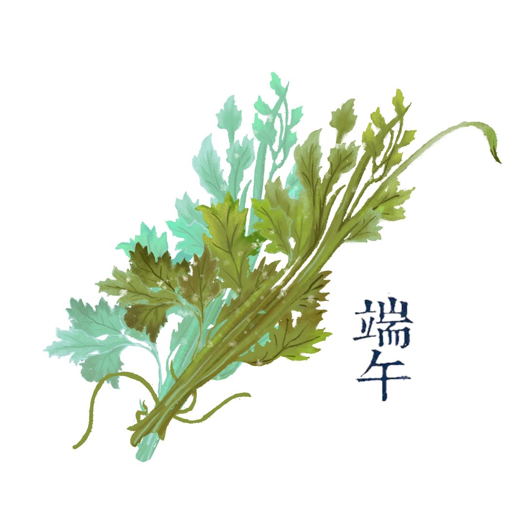 活动报名先别忙着吃粽子端午节龙套演员菖蒲了解一下