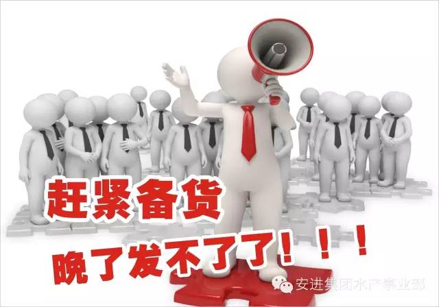 端午节放假通知