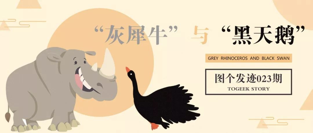 图个发迹第023期灰犀牛与黑天鹅