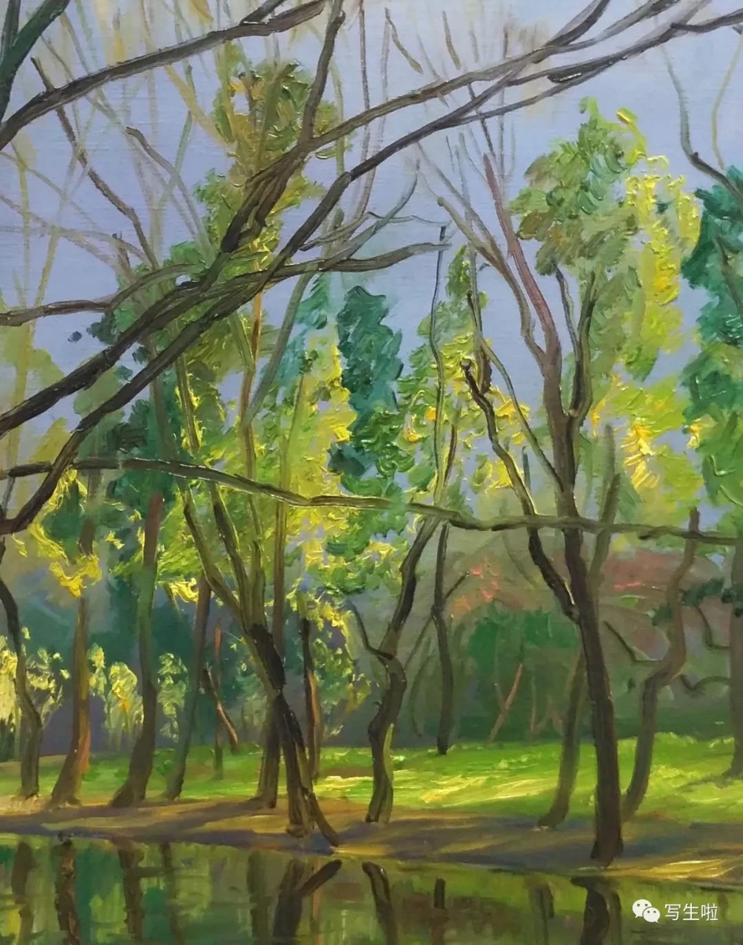 共青森林公园60*80 2019年荀贵斌上海写生油画作品1964年出生于上海