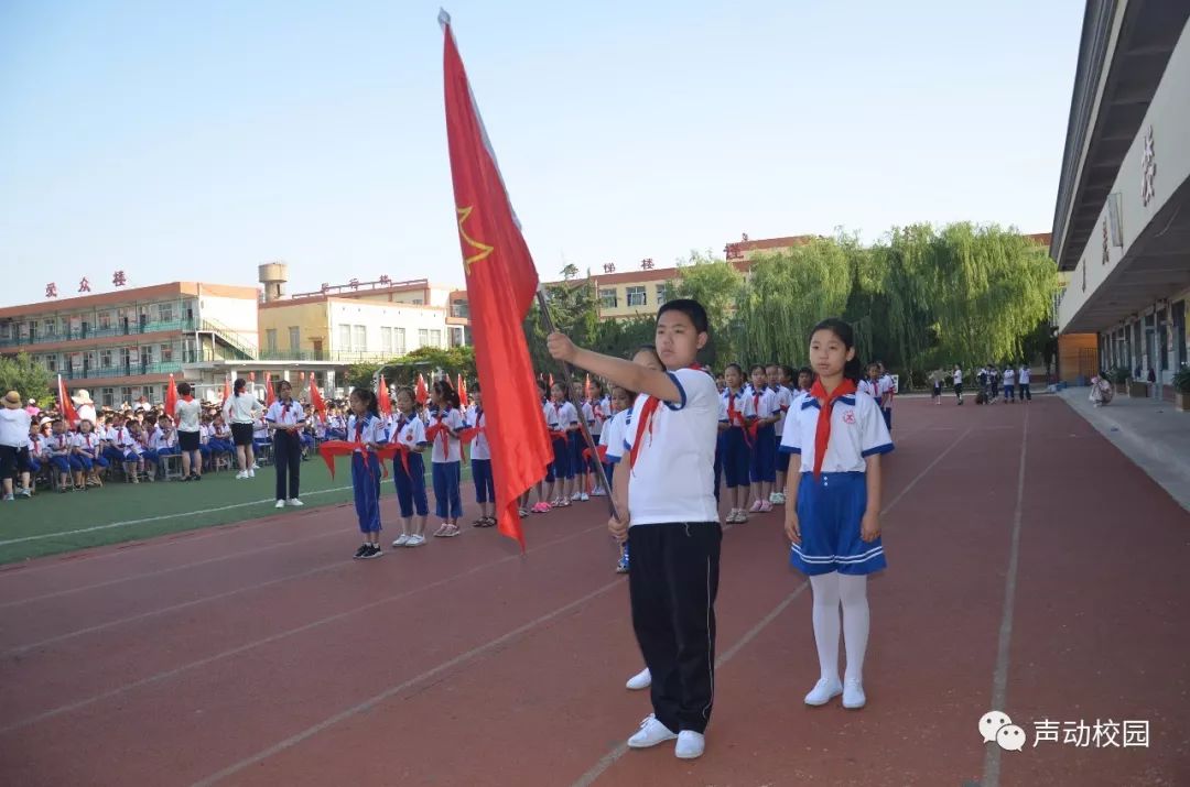 赵县石塔实验学校图片