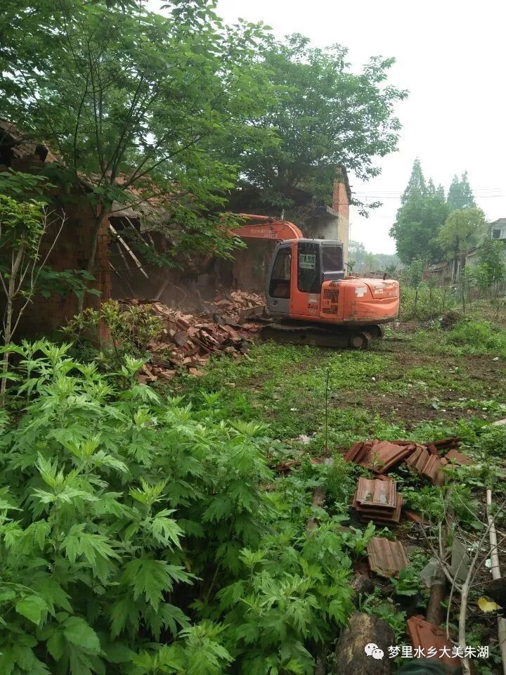 砍树拆屋竟是为了推动美丽乡村