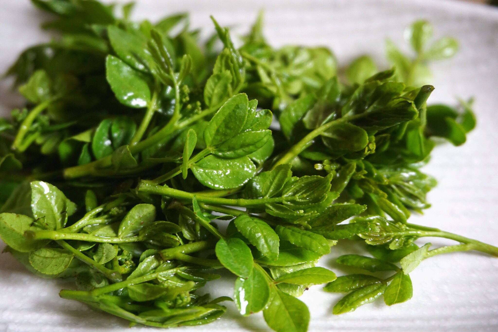 炸花椒叶营养健康酥脆可口老人小孩都爱吃