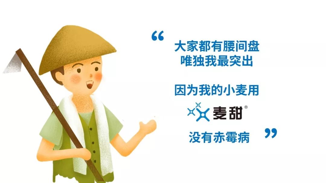 端午节先正达麦甜给您送福利