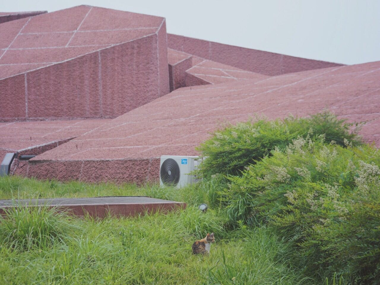 成都看展必打卡:麓湖·a4美术馆,每个角落都是艺术!