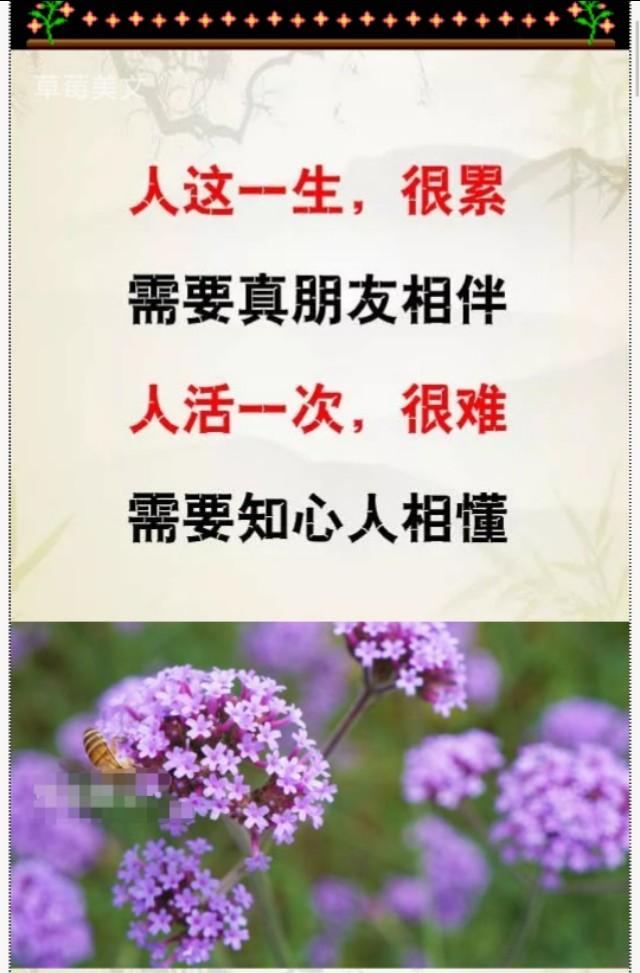 知心的人,一个就够