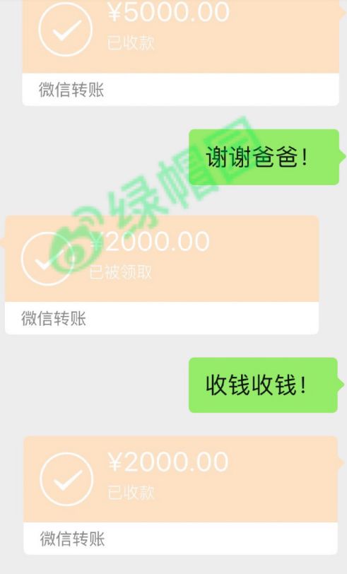 20万的转账记录图片图片