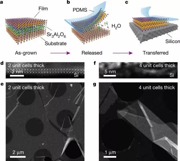nature最新合成技术:比纸还薄的钙钛矿薄膜