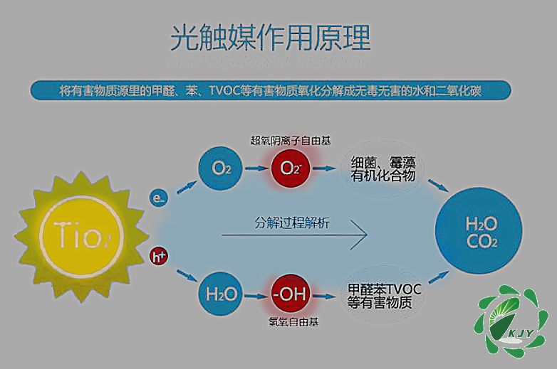 重庆甲醛治理