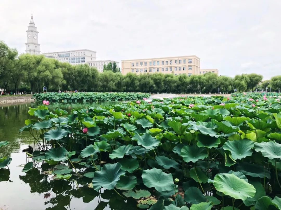 稻香园,梦溪食堂倘若你来了(摄影:张家玮)师大的大门为你敞开倘若你来