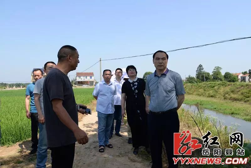 岳阳县县委常委易新岳到杨林河开展巡河