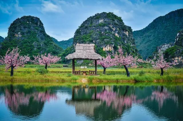 《爸爸去哪兒》而爆紅 ,又因《三生三世十里桃花》成為國民仙境!