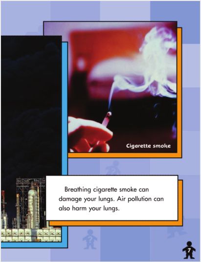 78英语故事牛津阅读树第六级whatsinsideme