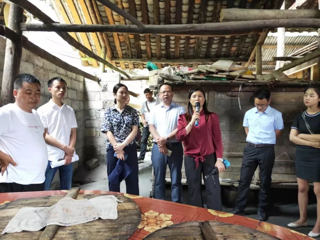 县人民政府副县长,镇脱贫攻坚指挥部指挥长张伶俐参加,由镇党委书记