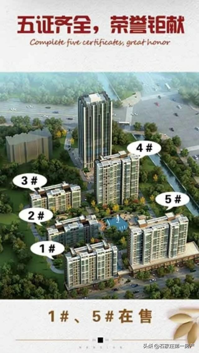 鹿泉又一新品入市——胜利馨苑喜获预售