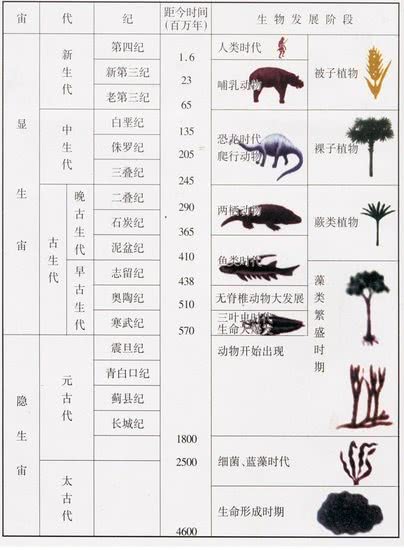 其中大范围包括了宙,代,纪,世,期,时;下面又细分为古生代,中生代等;摘