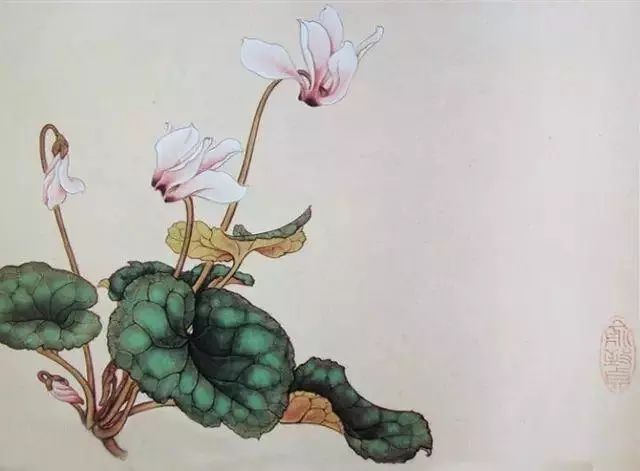 临摹素材|工笔花卉画谱40幅(用笔方法)