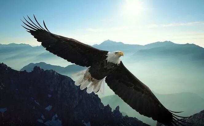 首届高研班优秀打卡 | 学最好的榜样,做最好的自己