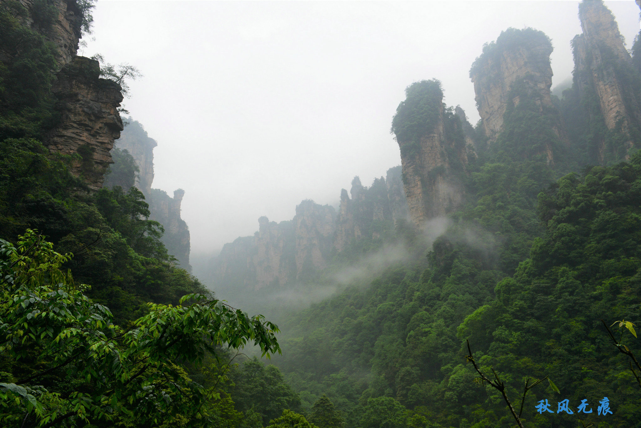 雨中张家界雾峰猕猴土家影子让旅程无限美妙