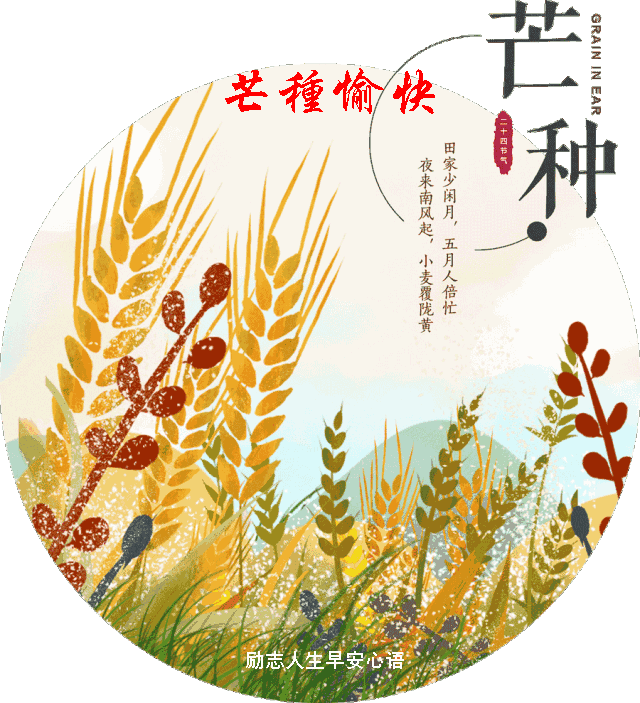 芒种节气养生全攻略