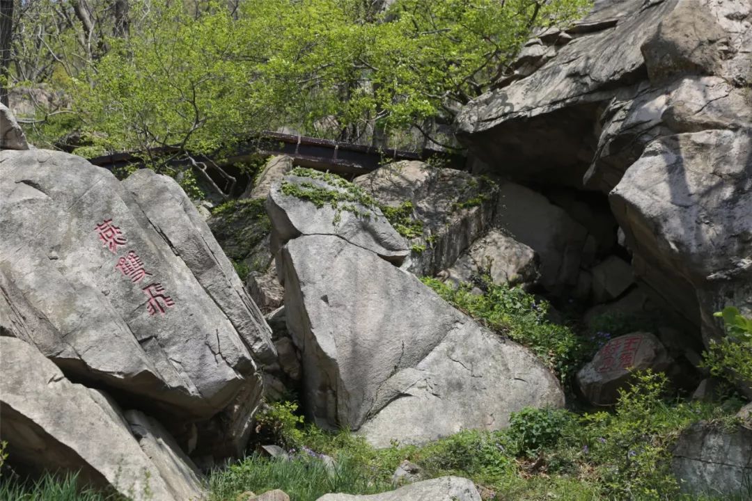 玉兔拜月千年老鼋佛手石☆☆☆☆☆☆☆☆☆愿端午假期内发生所有的