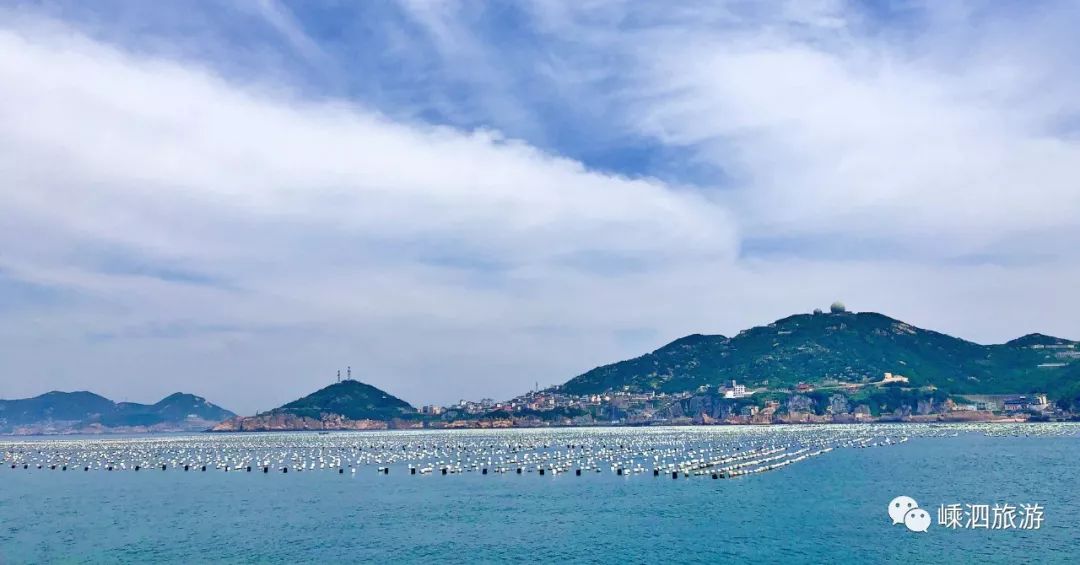 一日纵览泗礁,黄龙,枸杞,嵊山,花鸟.不是梦!_嵊泗
