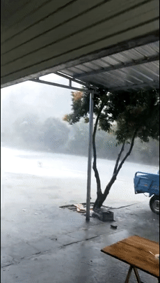 230_405gif 动态图 动图