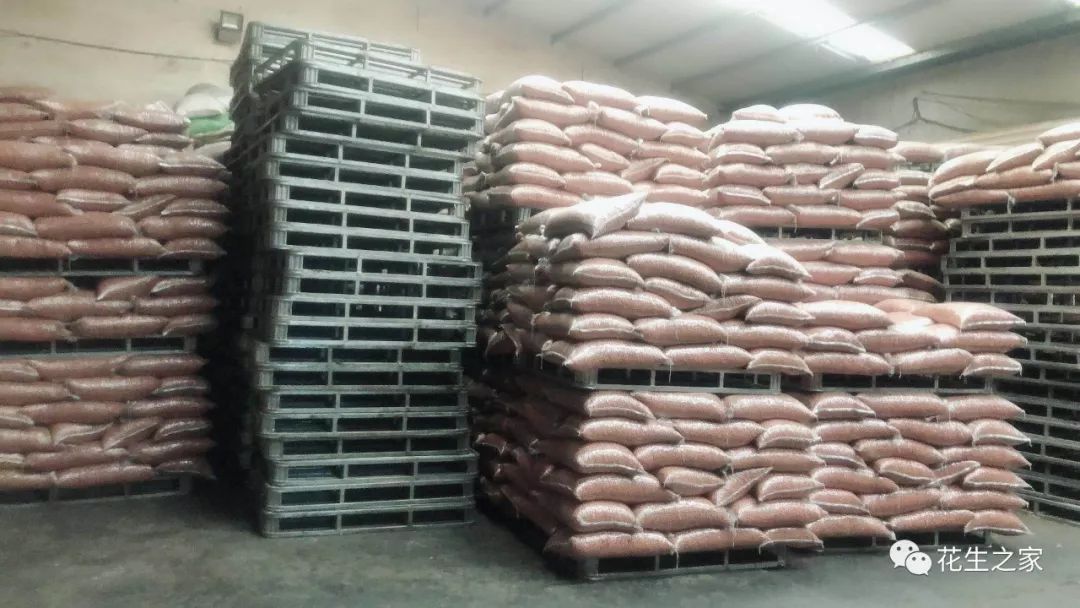 超级供应商第4年江苏东海阳街花生米加工厂赵新军