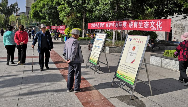 區統計局積極開展社會治理暨平安建設宣傳活動